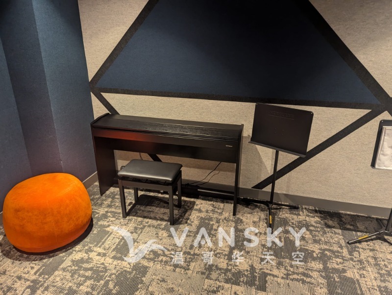 241213201825_Public music room.jpeg